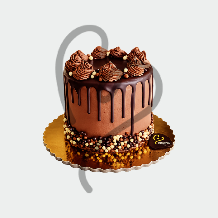 Chocolate Crunch cake